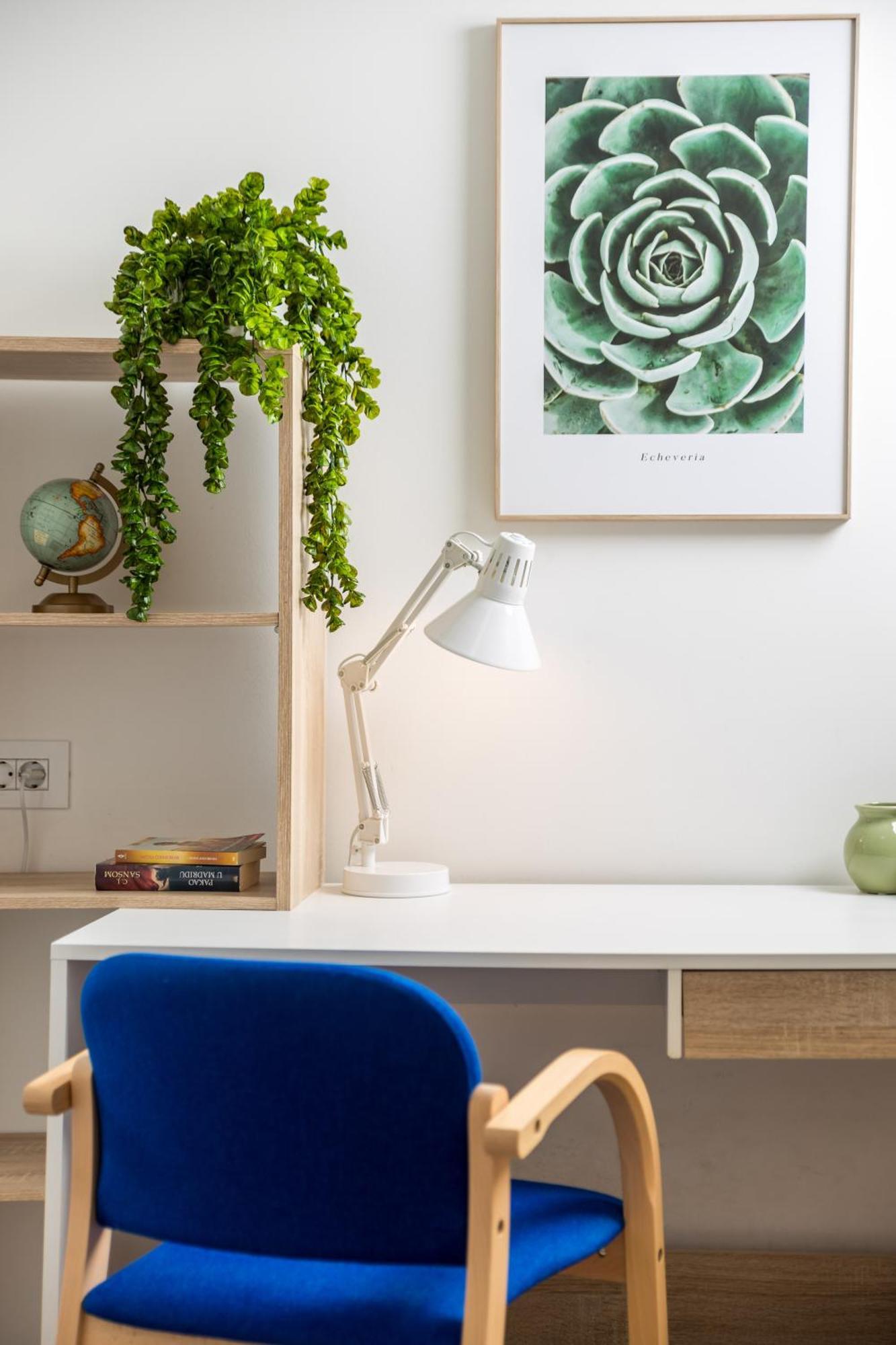 רייקה Apartment City Flower מראה חיצוני תמונה